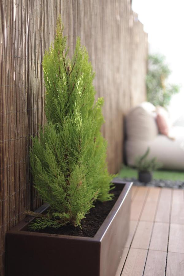Peniche Supertubos Terrace Lägenhet Exteriör bild